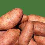 Sweet Potatoes - Atlantic Frozen Foods